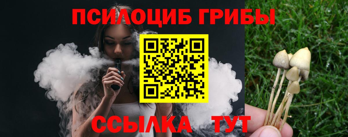 Кореновск  Псилоцибиновые грибы Magic Shrooms  Вход с VPN 